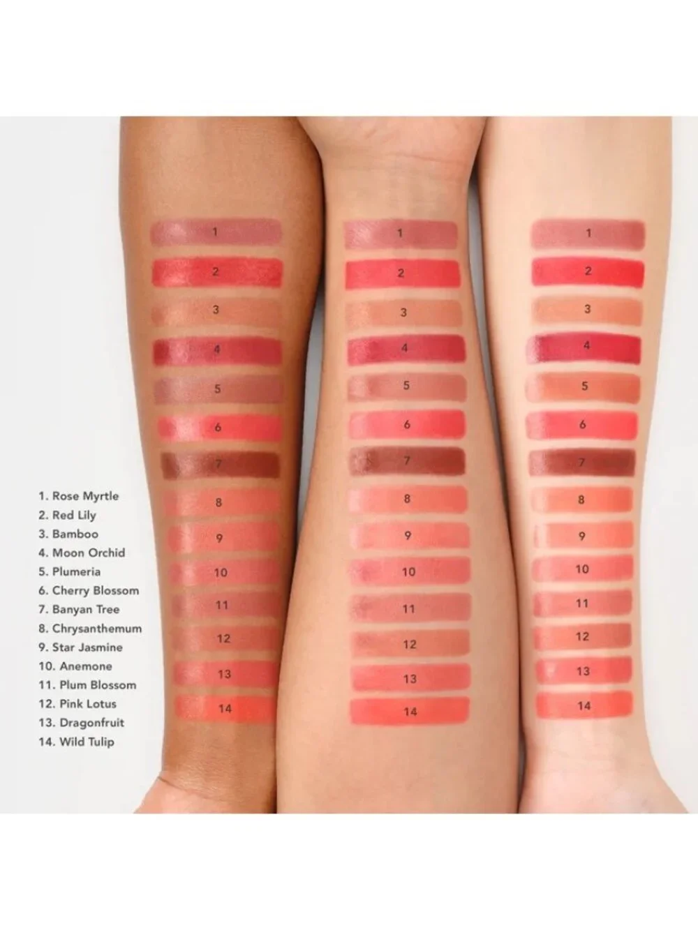 Chantecaille Precision Lip Brush & Lip Creme